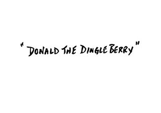 Full Download Donald the DIngleberry (The Moral of the Story Book 2) - Haley Henri | ePub