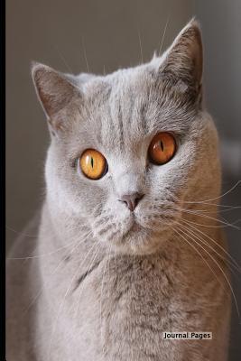 Download Journal Pages - Friskies Cat: 6 X 9, Lined Journal, Durable Cover,150 Pages for Writing (Journal Notebook) -  | ePub