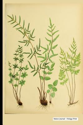 Download Nature Journal - Vintage Print: Vintage Nature Print (23), 6 X 9 - Blank Ulined Unruled Diary, Notebook, Journal -  file in ePub