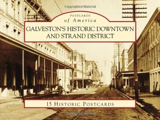 Read Galveston's Historic Downtown and Strand District - Denise Alexander file in ePub