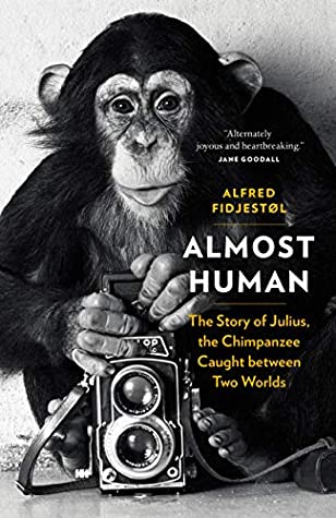 Read Almost Human: The Story of Julius, the Chimpanzee Caught between Two Worlds - Alfred Fidjestøl file in PDF